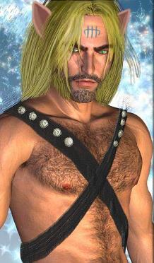 pirate captain 1